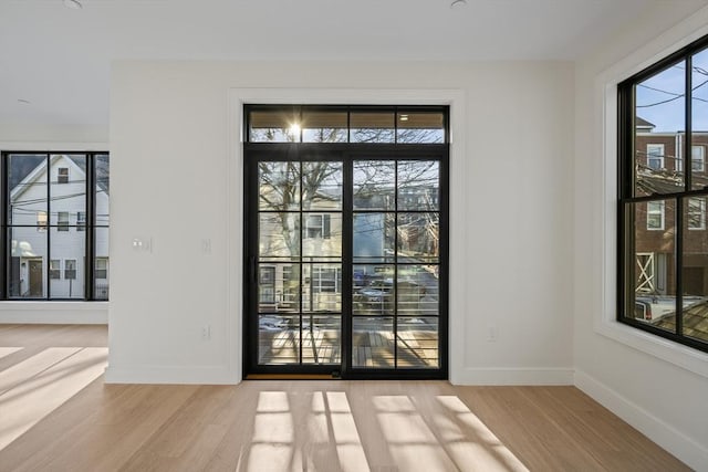 doorway featuring light hardwood / wood-style flooring and a wealth of natural light