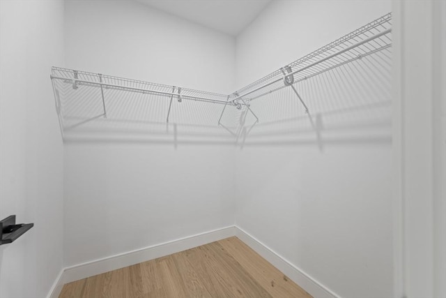 spacious closet featuring hardwood / wood-style floors