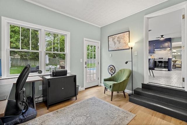 office featuring light wood finished floors, ornamental molding, baseboards, and a baseboard radiator
