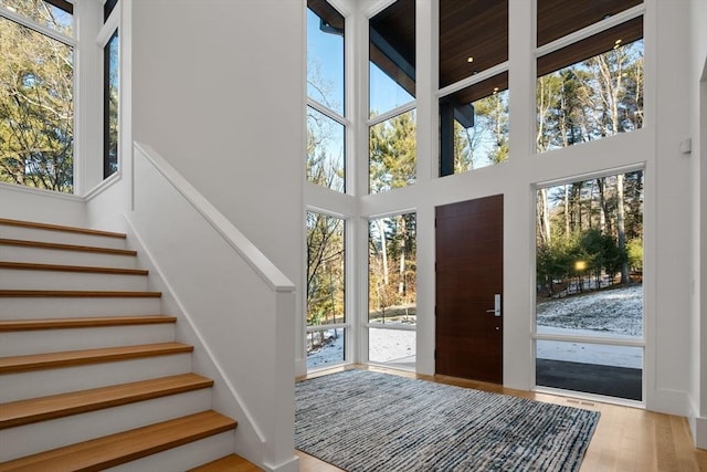 foyer with plenty of natural light, a towering ceiling, and light hardwood / wood-style flooring