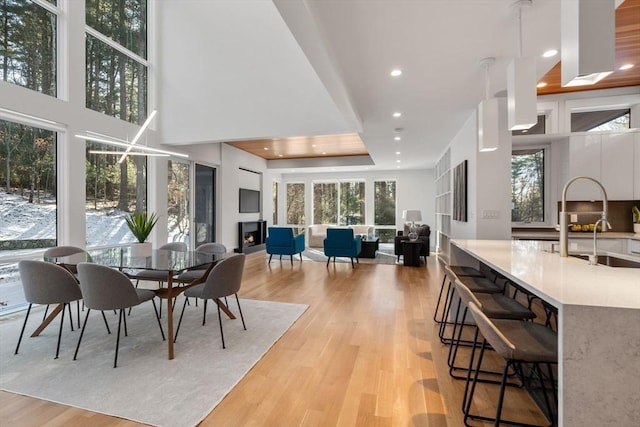 dining area with sink and light hardwood / wood-style floors