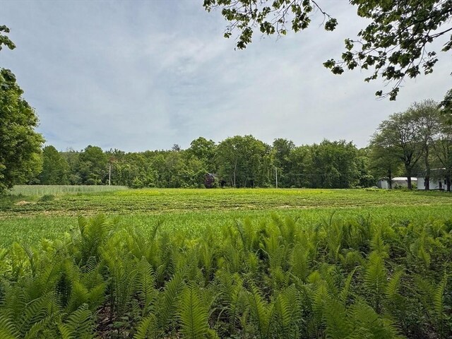 0 Meadow Rd, Montague, MA 01351