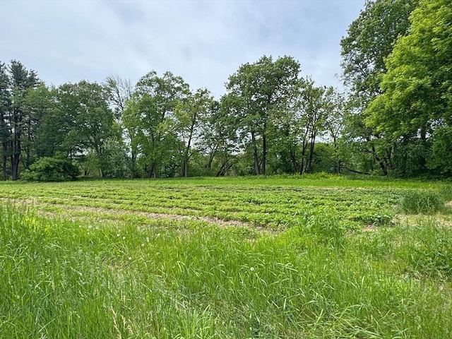 0 Meadow Rd, Montague, MA 01351