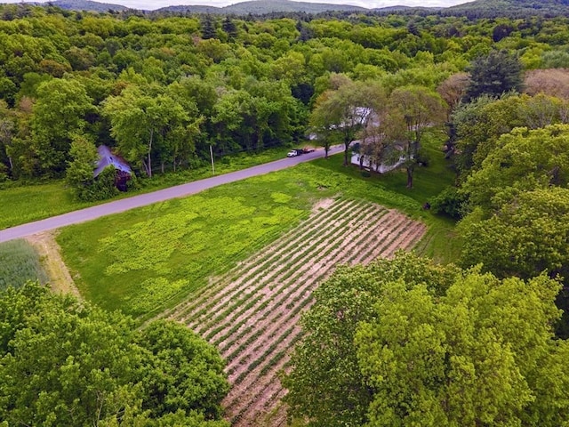 0 Meadow Rd, Montague, MA 01351