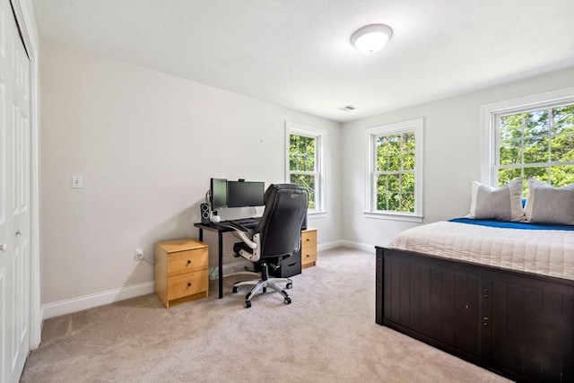 20 October Dr, Franklin, MA 02038 - bedroom with multiple windows, light colored carpet, and a desk