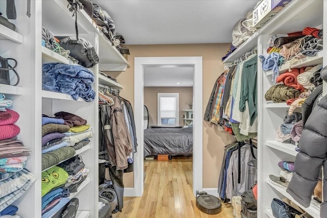 spacious closet featuring wood finished floors