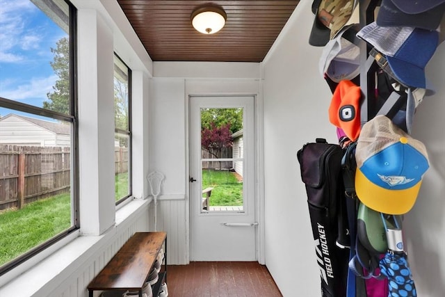 entryway featuring healthy amount of natural light and wood finished floors