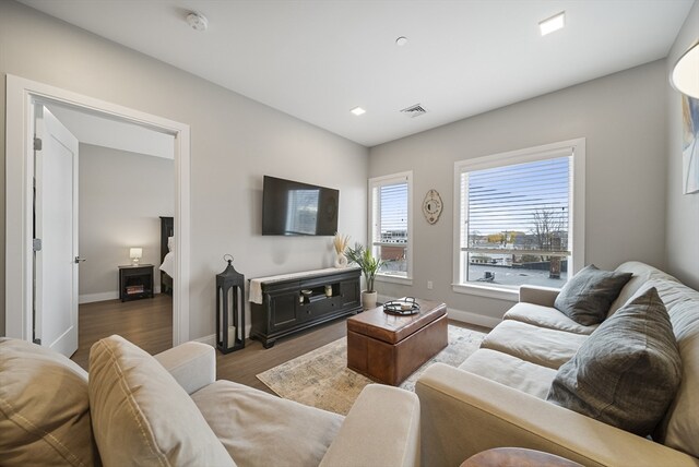 living room featuring dark wood-type flooring