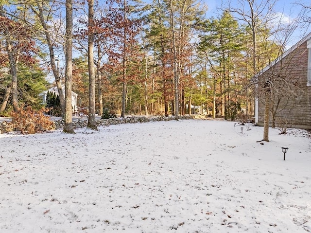 view of yard layered in snow