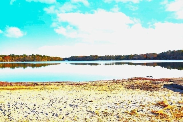 18 Blueberry Ln, Barnstable, MA 02648 - water view featuring a heavily wooded area
