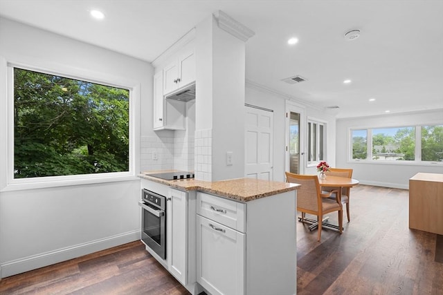 35 Des Moines Rd Unit 310, Quincy, MA 02169 - kitchen featuring stainless steel oven, recessed lighting, a peninsula, light stone counters, and dark wood-style floors