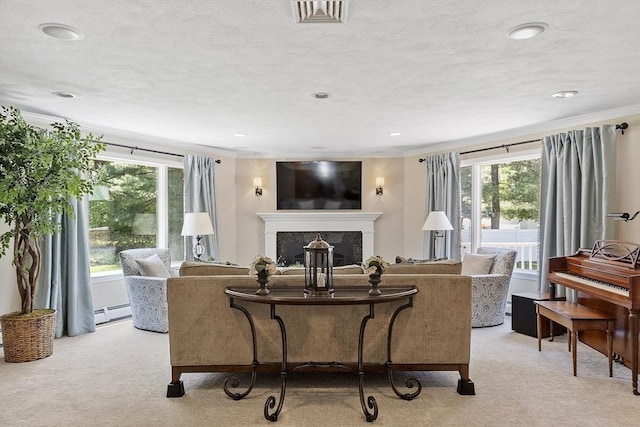 9 Bateson Dr, Andover, MA 01810 - living area with ornamental molding, a stone fireplace, healthy amount of natural light, a baseboard radiator, and light colored carpet
