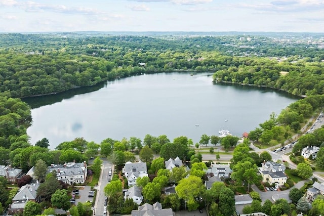 3 Regent Cir Unit 3, Boston, MA 02130 - aerial view of residential area with a nearby body of water and a forest