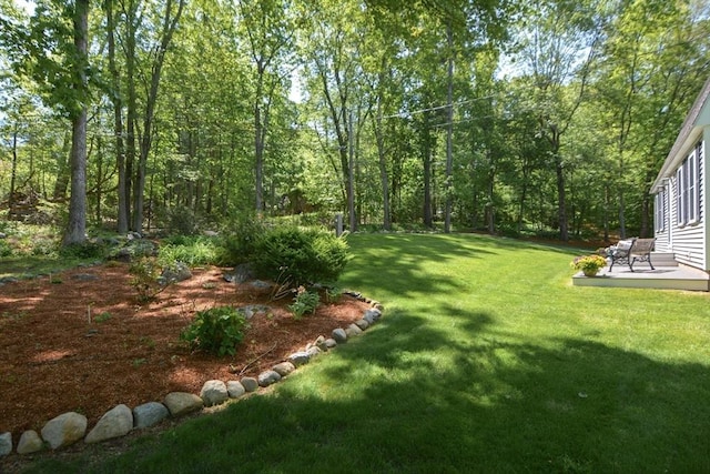 33 Rockmeadow Rd, Uxbridge, MA 01569 - view of green lawn