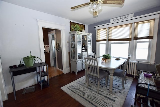 419-421 Court St, New Bedford, MA 02740 - dining area featuring a ceiling fan, wood finished floors, plenty of natural light, and baseboards