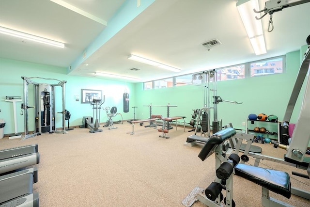 workout area featuring carpet floors