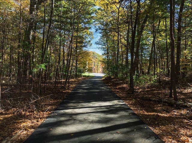 view of road