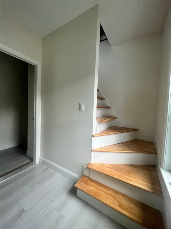 staircase with hardwood / wood-style floors