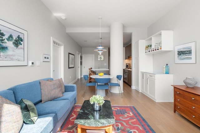 100 Shawmut Ave Unit 202, Boston, MA 02118 - living room featuring light wood-type flooring