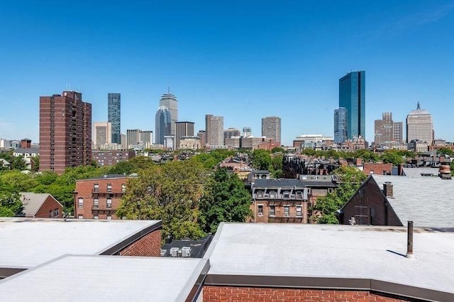 1411 Washington St Unit 7, Boston, MA 02118 - skyline view