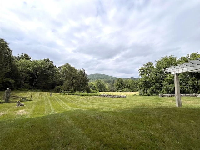 148 Scantic Rd, Hampden, MA 01036 - view of grassy yard