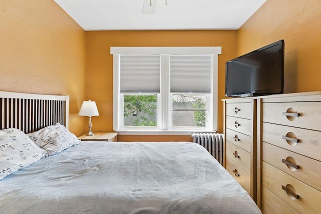6-R Hazel Ter Unit 6, Salem, MA 01970 - bedroom with radiator heating unit