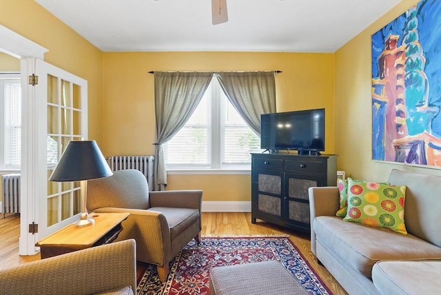 6-R Hazel Ter Unit 6, Salem, MA 01970 - living area with wood finished floors, radiator heating unit, and a ceiling fan