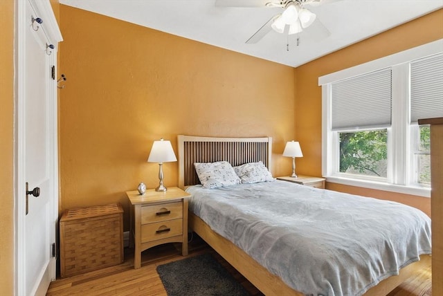 6-R Hazel Ter Unit 6, Salem, MA 01970 - bedroom featuring wood finished floors and a ceiling fan