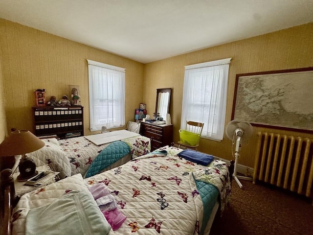 39 Newbury Ave, Quincy, MA 02171 - bedroom featuring radiator and carpet floors