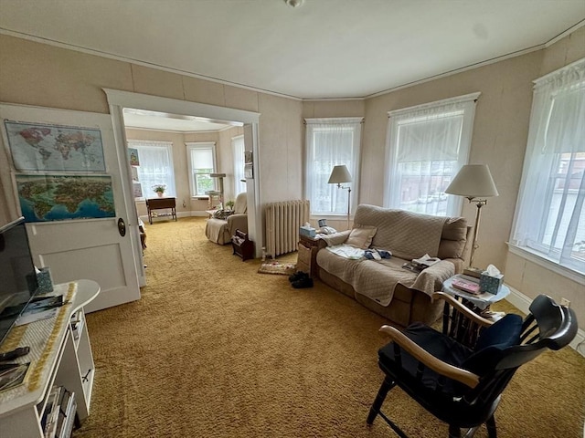 39 Newbury Ave, Quincy, MA 02171 - carpeted living area featuring radiator, healthy amount of natural light, and crown molding