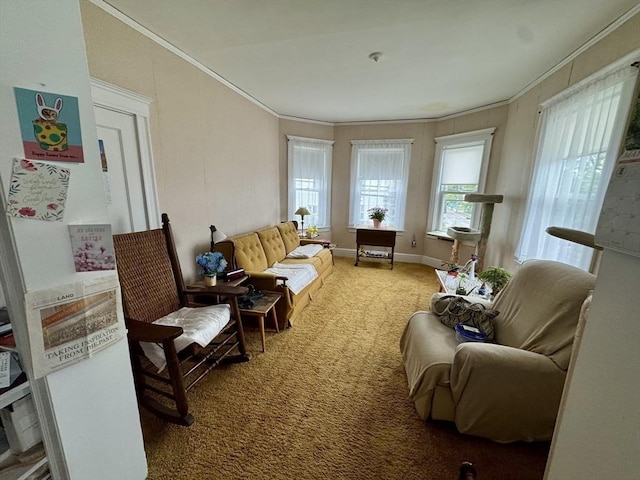 39 Newbury Ave, Quincy, MA 02171 - sitting room featuring crown molding, carpet floors, and baseboards