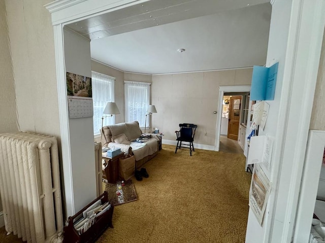 39 Newbury Ave, Quincy, MA 02171 - living area with radiator heating unit, carpet floors, and baseboards
