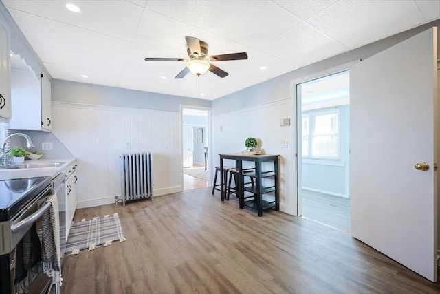 kitchen with radiator, wood-type flooring, sink, and white cabinets