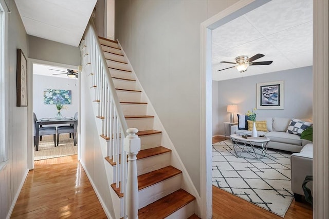 staircase featuring hardwood / wood-style flooring and ceiling fan