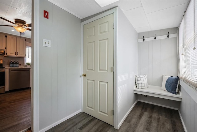 mudroom featuring dark hardwood / wood-style floors and ceiling fan