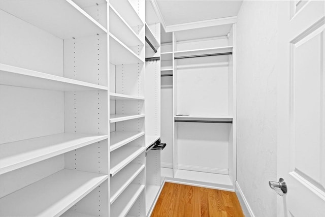 203 Middle St Unit 6, Weymouth, MA 02189 - walk in closet with wood finished floors