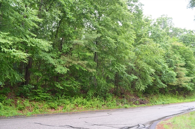 LOT4 Babcock Tavern Rd, Ware MA, 01082 land for sale