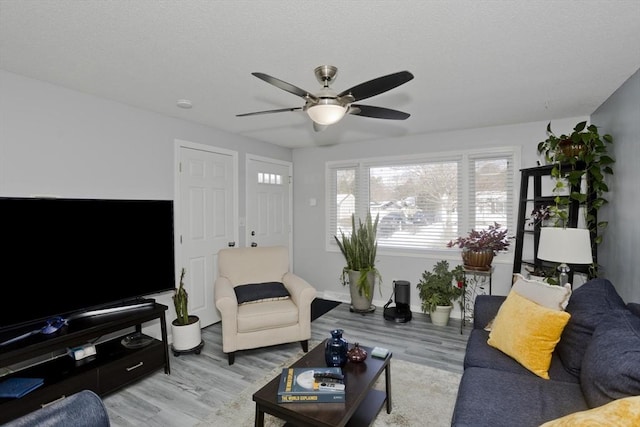 living room featuring ceiling fan and light hardwood / wood-style flooring