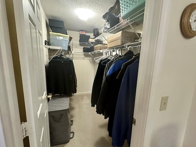 walk in closet featuring carpet floors