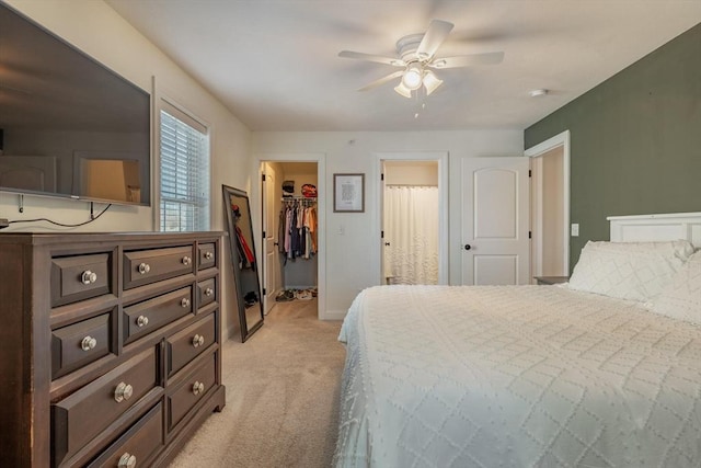 bedroom with ceiling fan, a walk in closet, a closet, and light carpet