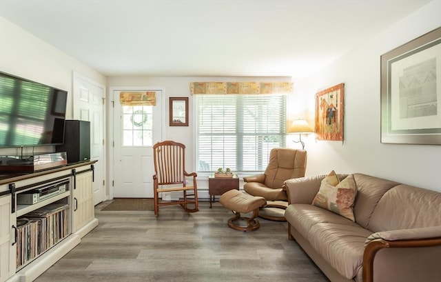 21 Harbor Mist Dr Unit 21, Fairhaven, MA 02719 - living area featuring light wood finished floors