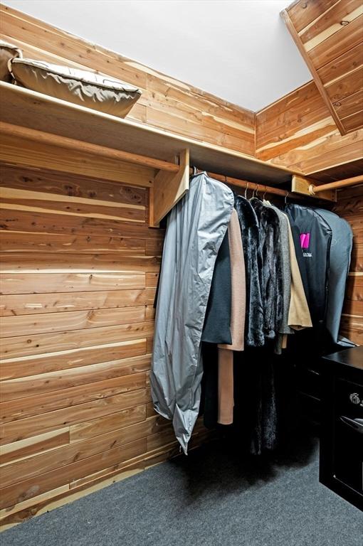 walk in closet featuring carpet flooring