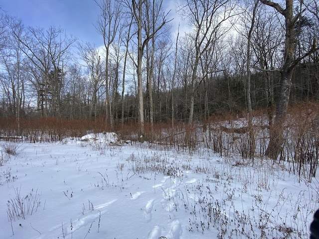 view of snowy landscape