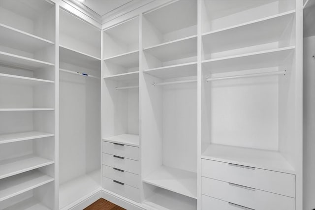 spacious closet with hardwood / wood-style floors