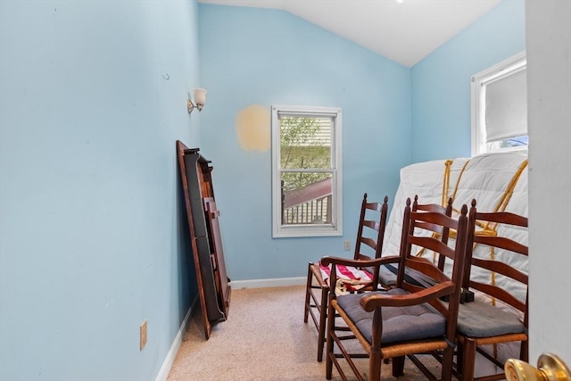 49 Boathouse Rd, Groton, MA 01450 - living area featuring vaulted ceiling, light colored carpet, and baseboards