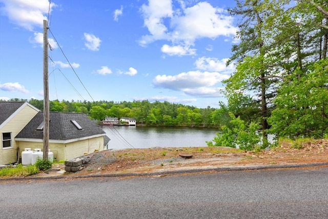 49 Boathouse Rd, Groton, MA 01450 - water view