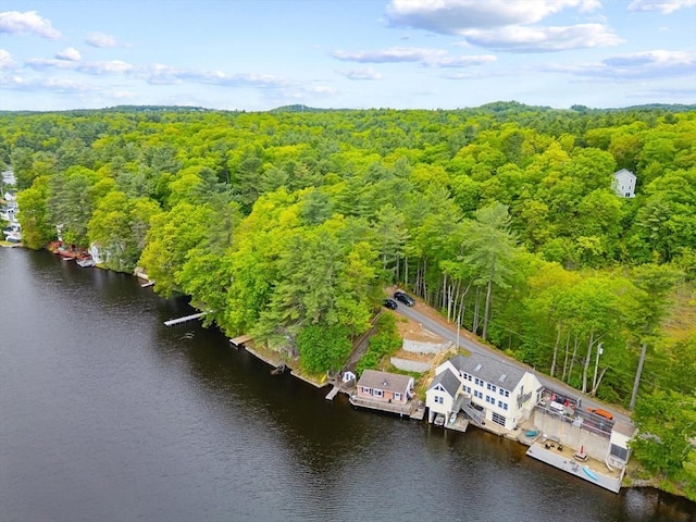 49 Boathouse Rd, Groton, MA 01450 - aerial view of a forest and a nearby body of water