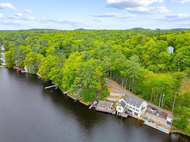 49 Boathouse Rd, Groton, MA 01450 - drone / aerial view of a forest and a nearby body of water