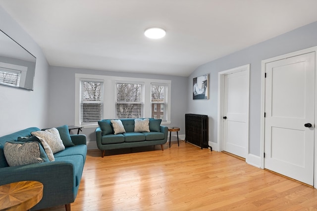 living room with lofted ceiling and light hardwood / wood-style flooring