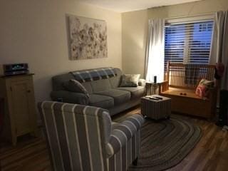 living area with wood finished floors